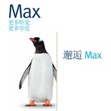 企鹅20（Max 20）