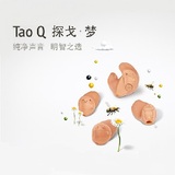 探戈Q10（Tao Q10）